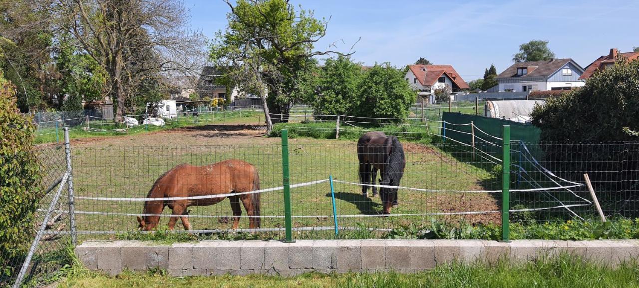 Homestay Gaeste Haus Am